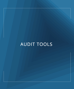 AUDIT TOOLS